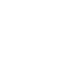 Logo anais